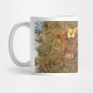 Scottish Highland Cattle Calf 1718 Mug